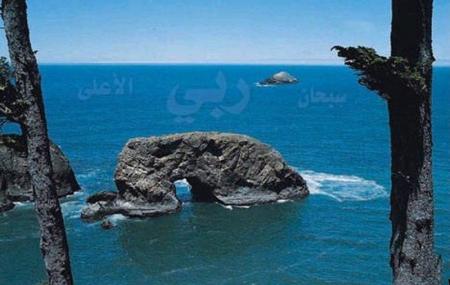 ���� ����� ���